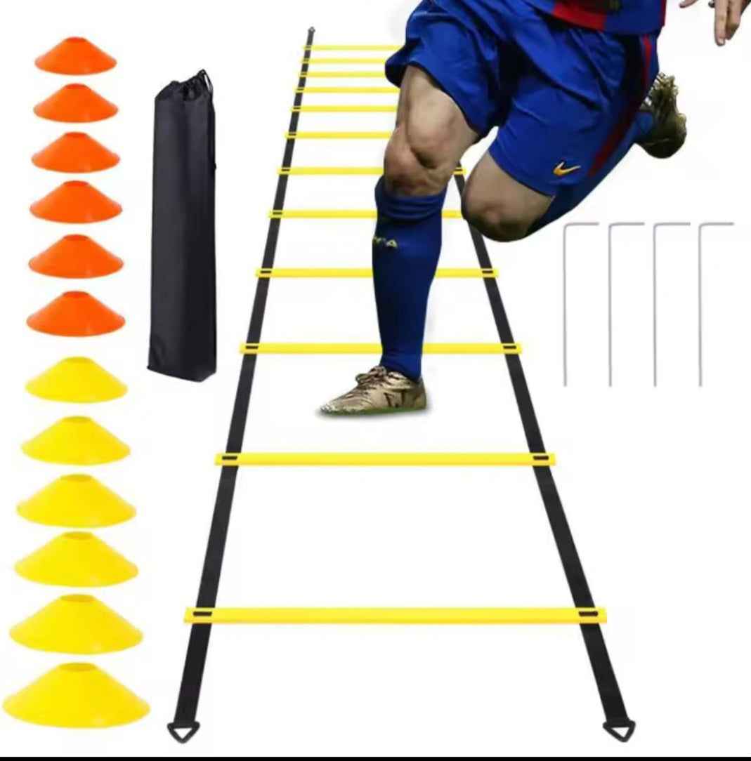 Training boxing Ladder